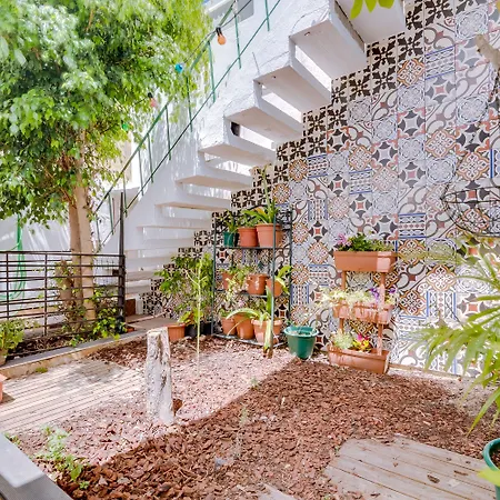 A Da Avo -the Dystrykt Faro